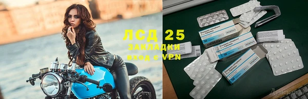 apvp Аркадак