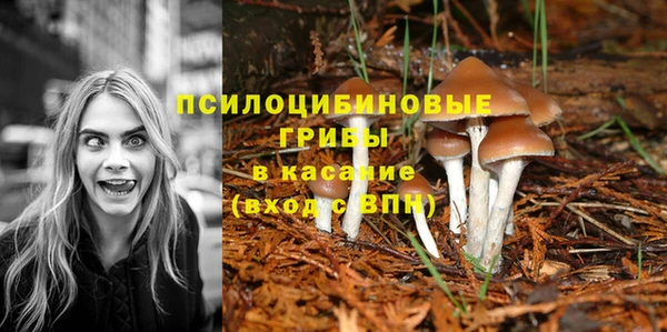 герыч Арсеньев